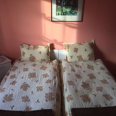 Becze Vanda kulcsosház Lăzarea Exterior foto