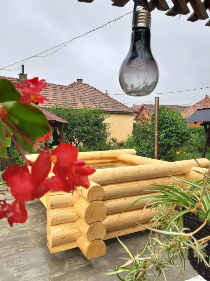 Becze Vanda kulcsosház Lăzarea Exterior foto